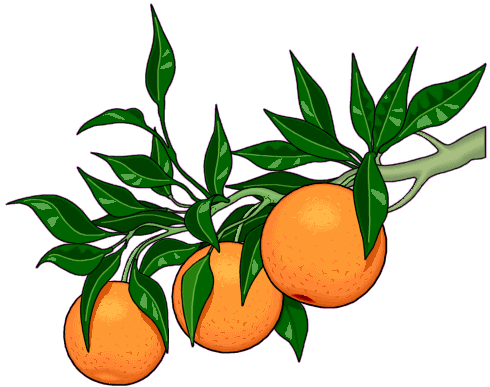 fruit (19).gif